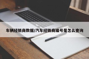 车辆经销商数据/汽车经销商编号是怎么查询
