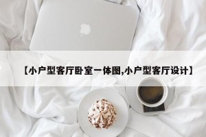 【小户型客厅卧室一体图,小户型客厅设计】